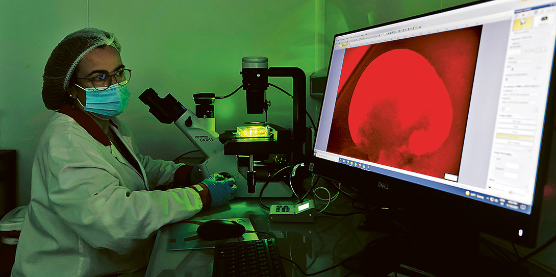 Modélisation pathologique grâce aux organoïdes